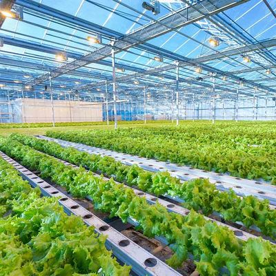 Estrutura de montagem agrícola fotovoltaico do quadro de pouco peso ajustável inteligente do sistema solar da estufa da altura