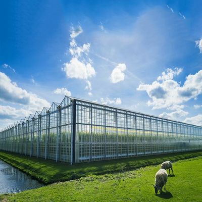 Bom preço. Sistema solar da multi estufa da finalidade 500KW BIPV on-line