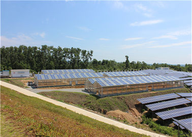 Bom preço. Estrutura metálica da única casa morna da planta da agricultura do sistema solar da estufa do período on-line