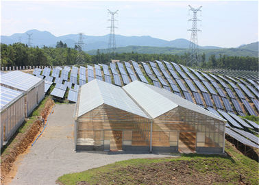 Bom preço. Construção de aço galvanizada de plantação econômica high-density do mergulho quente de sistema solar da estufa on-line