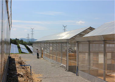 Bom preço. Colheitas agrícolas montadas telhado dos centrais elétricas fotovoltaicos do sistema solar da estufa on-line