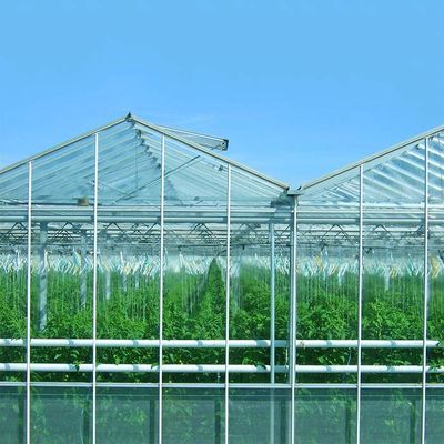 Bom preço. Sistema solar fotovoltaico montado à terra para a exploração agrícola da planta on-line
