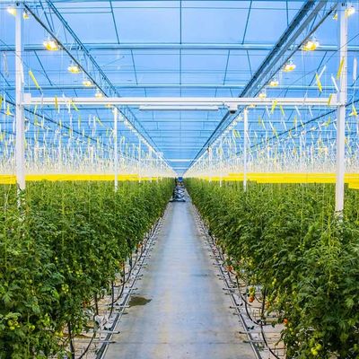 Bom preço. Estufa solar galvanizada agrícola do picovolt da armação de aço on-line