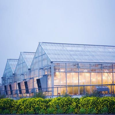 Bom preço. Sistema solar galvanizado da estufa do filme da espessura de 12mm on-line