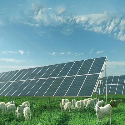 Bom preço. Galvanized Base Metal Solar Panel Ground Mounting Systems Structure on-line