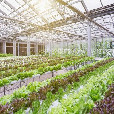 Bom preço. 10-60 ° Horizontal Vertical Greenhouse Solar Systems 36.9m/S wind Load on-line