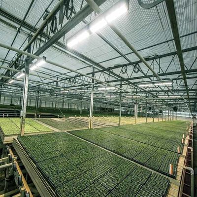 Bom preço. Uma estufa posta solar agrícola da irrigação exterior do quadro on-line