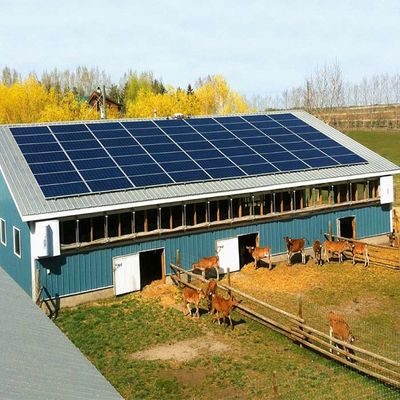 Sistema solar montado à terra galvanizado para a estufa